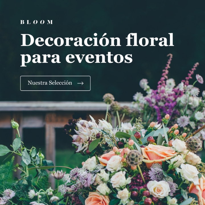 Realizamos un trabajo full-stack, desde el diseño de la interfaz de usuario de la tienda hasta su implementación final